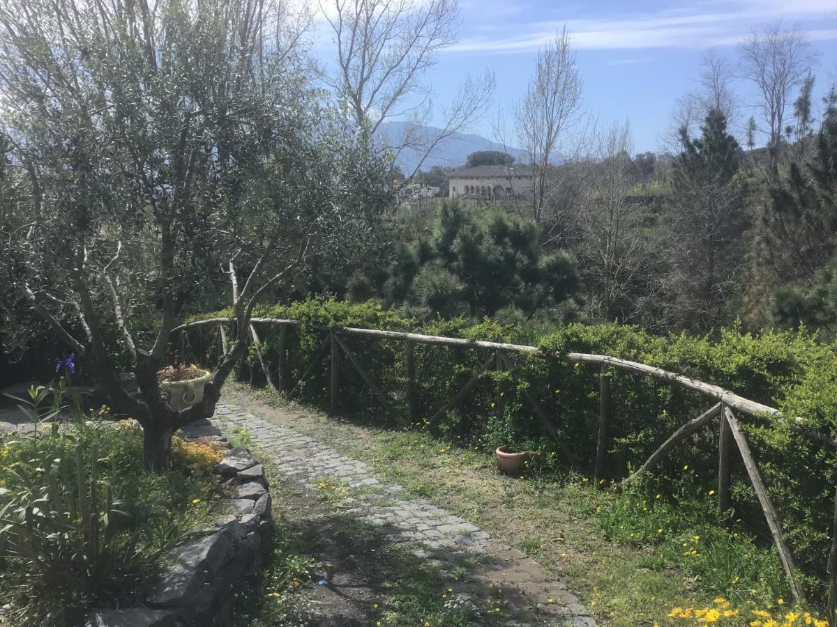 Tenuta Terradifuoco Terzigno Exterior photo